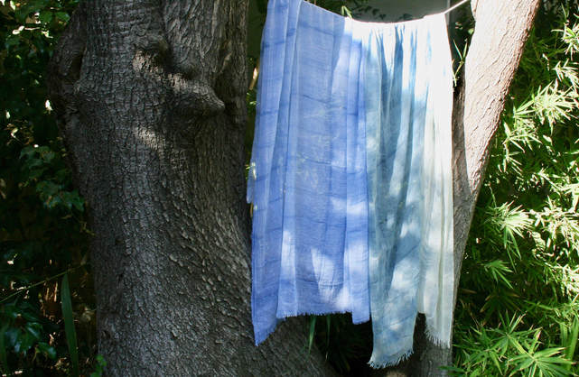 Shibori Indigo scarves drying