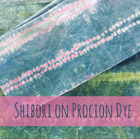 Shibori on Procion Dye - HILARY L HAHN