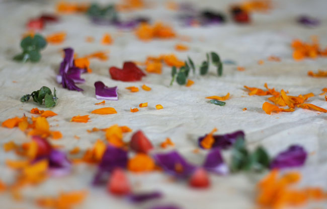 Marigolds, red cabbage, and eucalyptus on peace silk