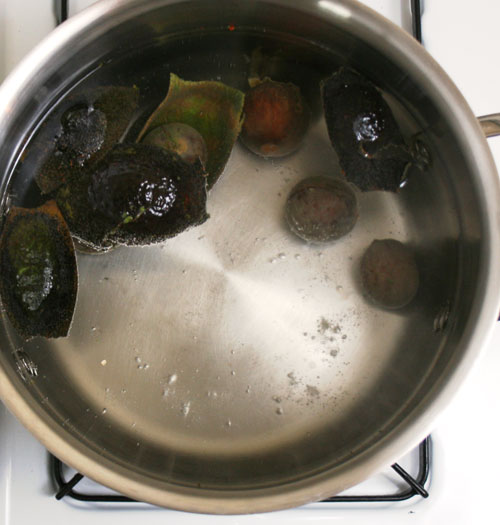 Avocado pits in steel pot